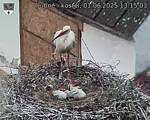 Capi_Dubne_20250601_131503.jpg