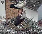 Capi_Dubne_20250601_132503.jpg