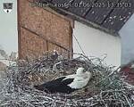 Capi_Dubne_20250601_133503.jpg
