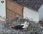 Capi_Dubne_20250601_134002.jpg