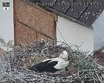 Capi_Dubne_20250601_134503.jpg