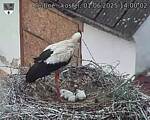 Capi_Dubne_20250601_140002.jpg