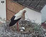 Capi_Dubne_20250601_140503.jpg