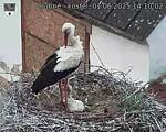 Capi_Dubne_20250601_141002.jpg