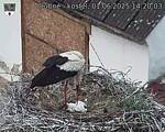 Capi_Dubne_20250601_142003.jpg