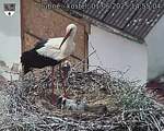 Capi_Dubne_20250601_145504.jpg