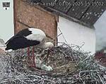 Capi_Dubne_20250601_151502.jpg