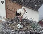 Capi_Dubne_20250601_152003.jpg
