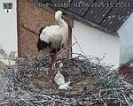 Capi_Dubne_20250601_152503.jpg