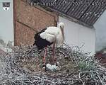 Capi_Dubne_20250601_154503.jpg