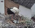 Capi_Dubne_20250601_161503.jpg