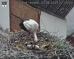 Capi_Dubne_20250601_171503.jpg