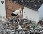 Capi_Dubne_20250601_181003.jpg