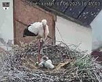 Capi_Dubne_20250601_184503.jpg