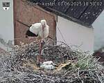 Capi_Dubne_20250601_185002.jpg