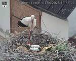 Capi_Dubne_20250601_185503.jpg