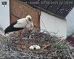 Capi_Dubne_20250601_202004.jpg