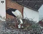 Capi_Dubne_20250601_210003.jpg