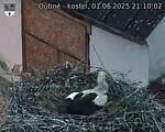 Capi_Dubne_20250601_211002.jpg