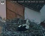 Capi_Dubne_20250601_211503.jpg