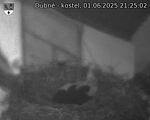 Capi_Dubne_20250601_212502.jpg