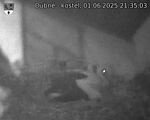 Capi_Dubne_20250601_213503.jpg