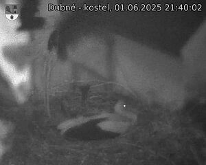 Capi_Dubne_20250601_214002.jpg (1350 x 1080)