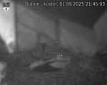 Capi_Dubne_20250601_214503.jpg