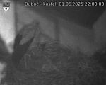 Capi_Dubne_20250601_220003.jpg