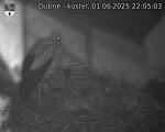 Capi_Dubne_20250601_220503.jpg