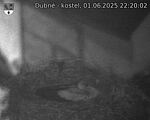 Capi_Dubne_20250601_222002.jpg