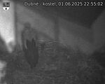 Capi_Dubne_20250601_225502.jpg