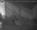Capi_Dubne_20250601_230003.jpg