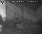 Capi_Dubne_20250601_231003.jpg