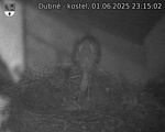 Capi_Dubne_20250601_231502.jpg
