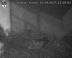 Capi_Dubne_20250601_232003.jpg