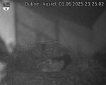 Capi_Dubne_20250601_232502.jpg
