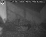 Capi_Dubne_20250601_233502.jpg