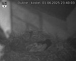 Capi_Dubne_20250601_234003.jpg