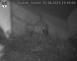Capi_Dubne_20250601_234502.jpg
