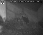 Capi_Dubne_20250601_235002.jpg