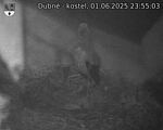 Capi_Dubne_20250601_235503.jpg