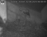 Capi_Dubne_20250602_000003.jpg