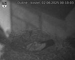 Capi_Dubne_20250602_001003.jpg