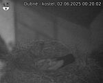 Capi_Dubne_20250602_002002.jpg