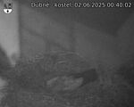 Capi_Dubne_20250602_004002.jpg