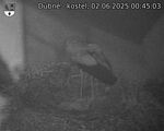 Capi_Dubne_20250602_004503.jpg