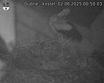 Capi_Dubne_20250602_005003.jpg