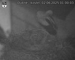 Capi_Dubne_20250602_010003.jpg