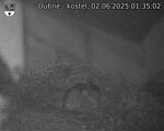 Capi_Dubne_20250602_013502.jpg